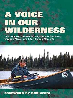 cover image of A Voice in Our Wilderness